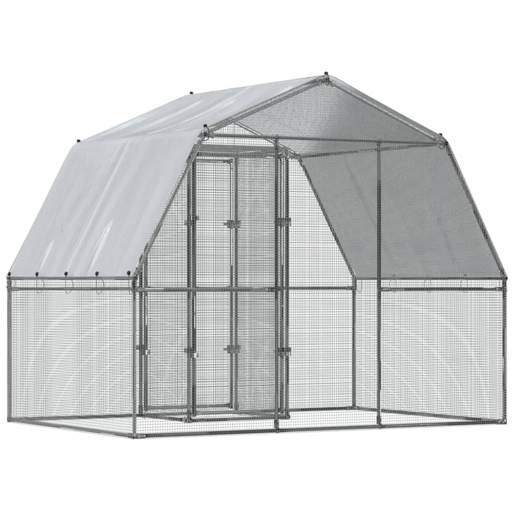 Image 5