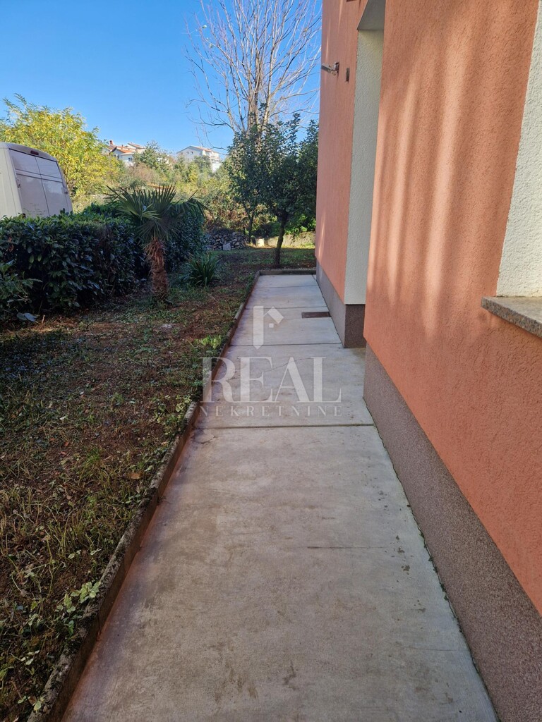 Image 13