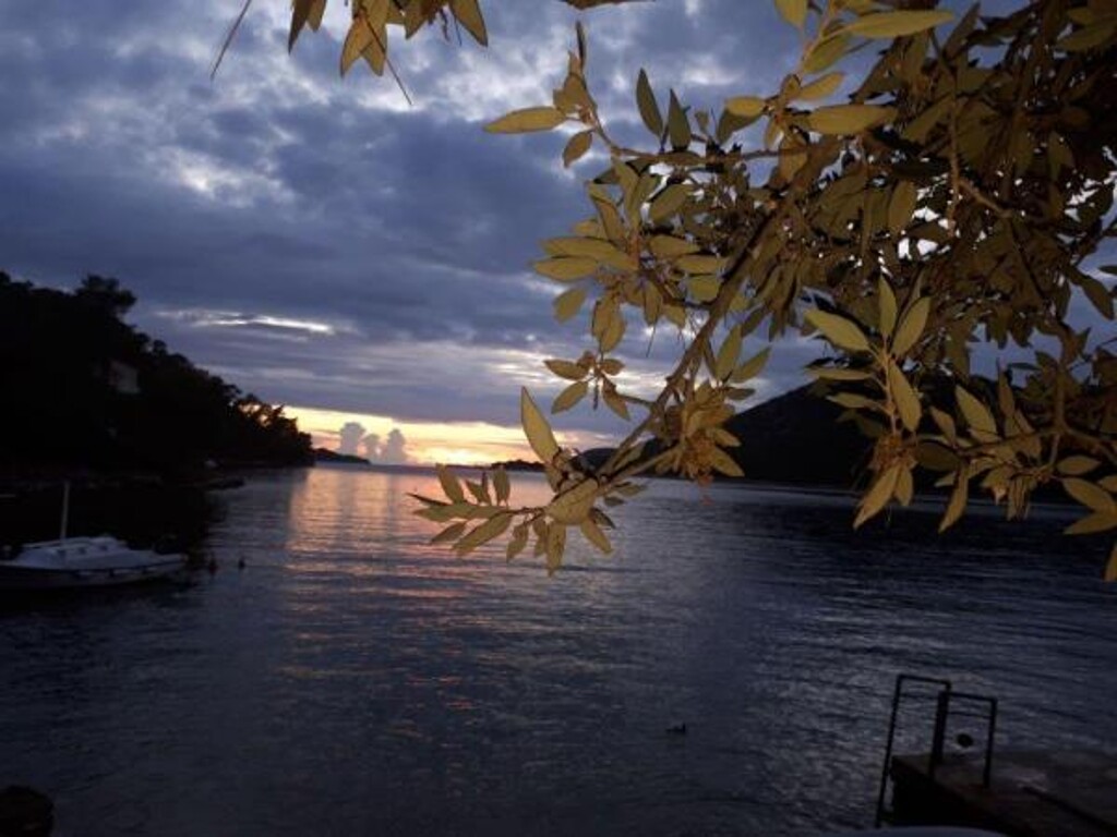Image 3810888 - 10