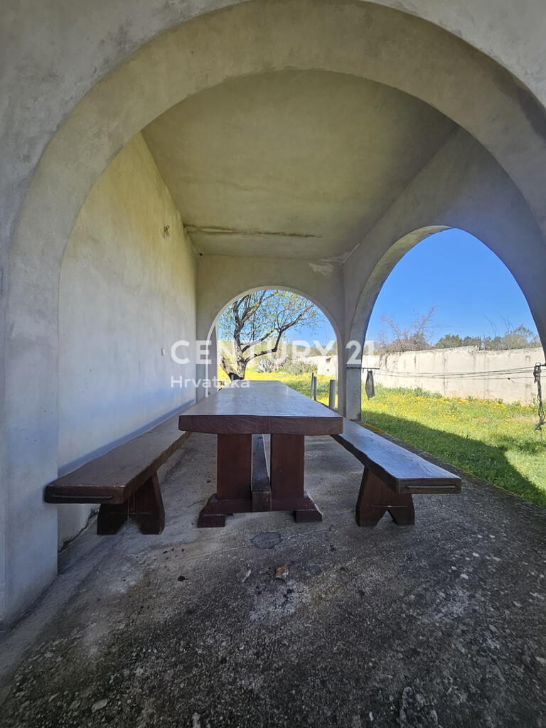 Image 19
