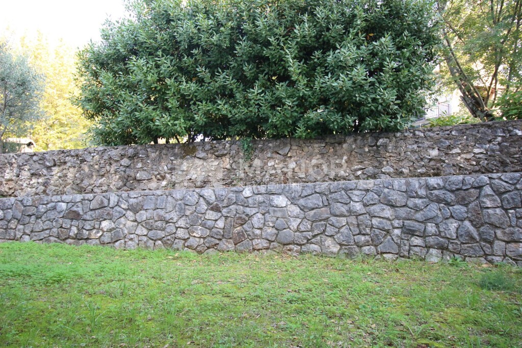 Image 17