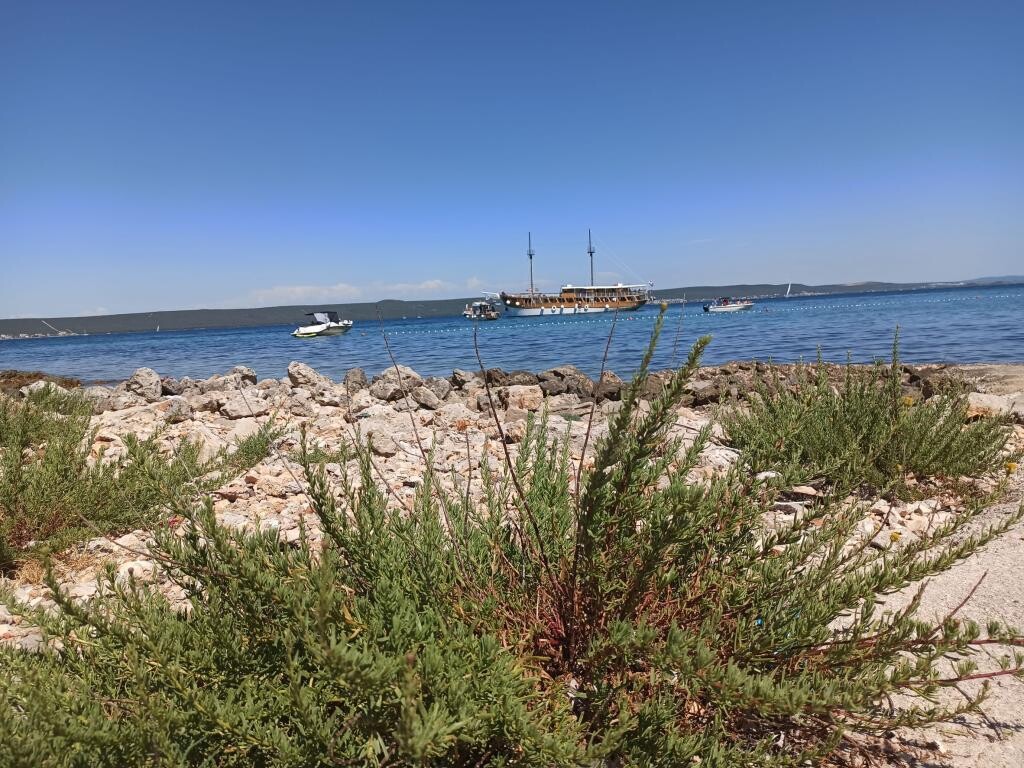 Image 15
