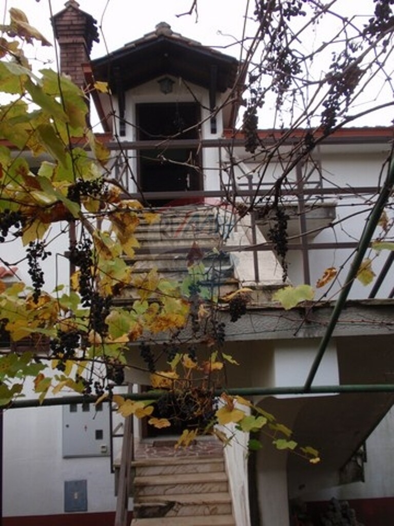 Image 5411136 - 7