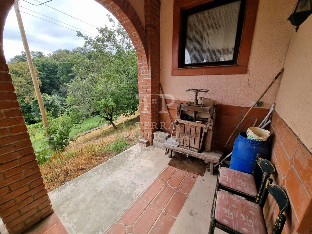 Image 21