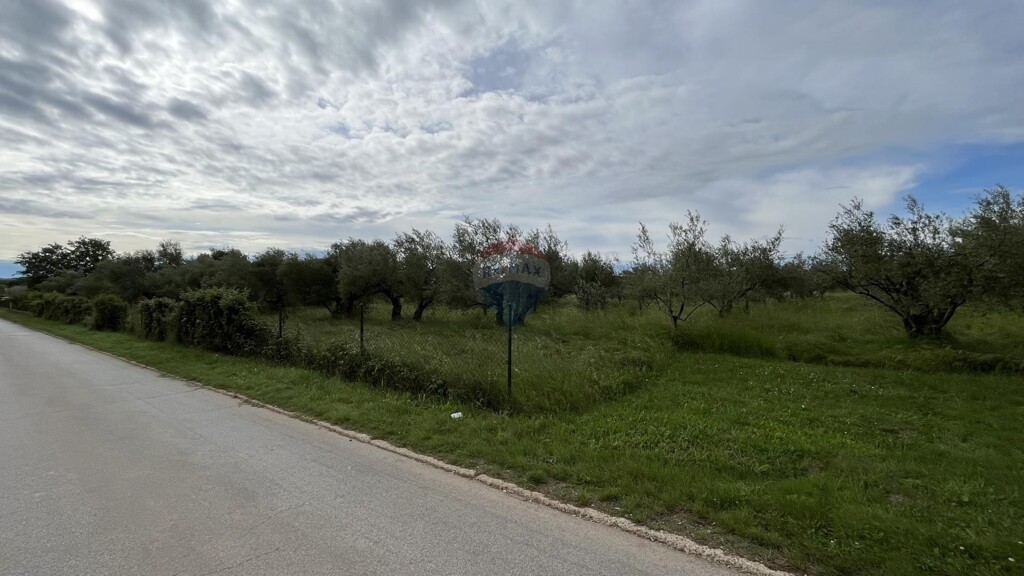 Image 5429867 - 2