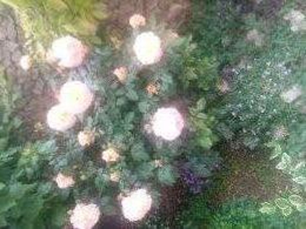 Image 3814014 - 7