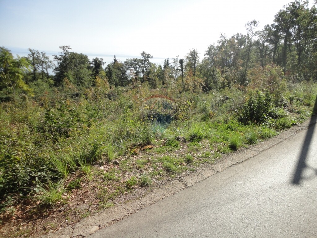 Image 5411134 - 2