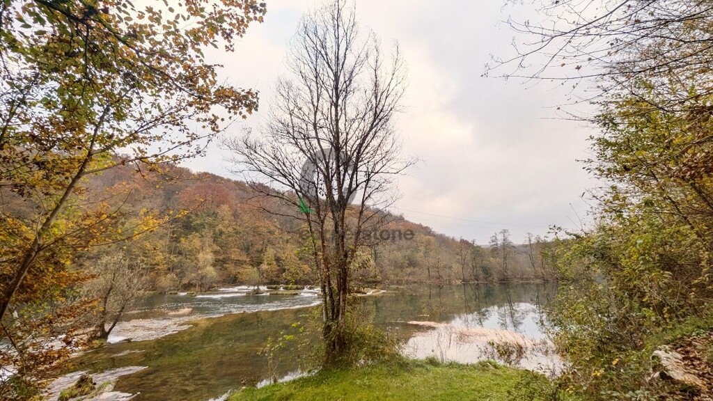 Image 6164296 - 29