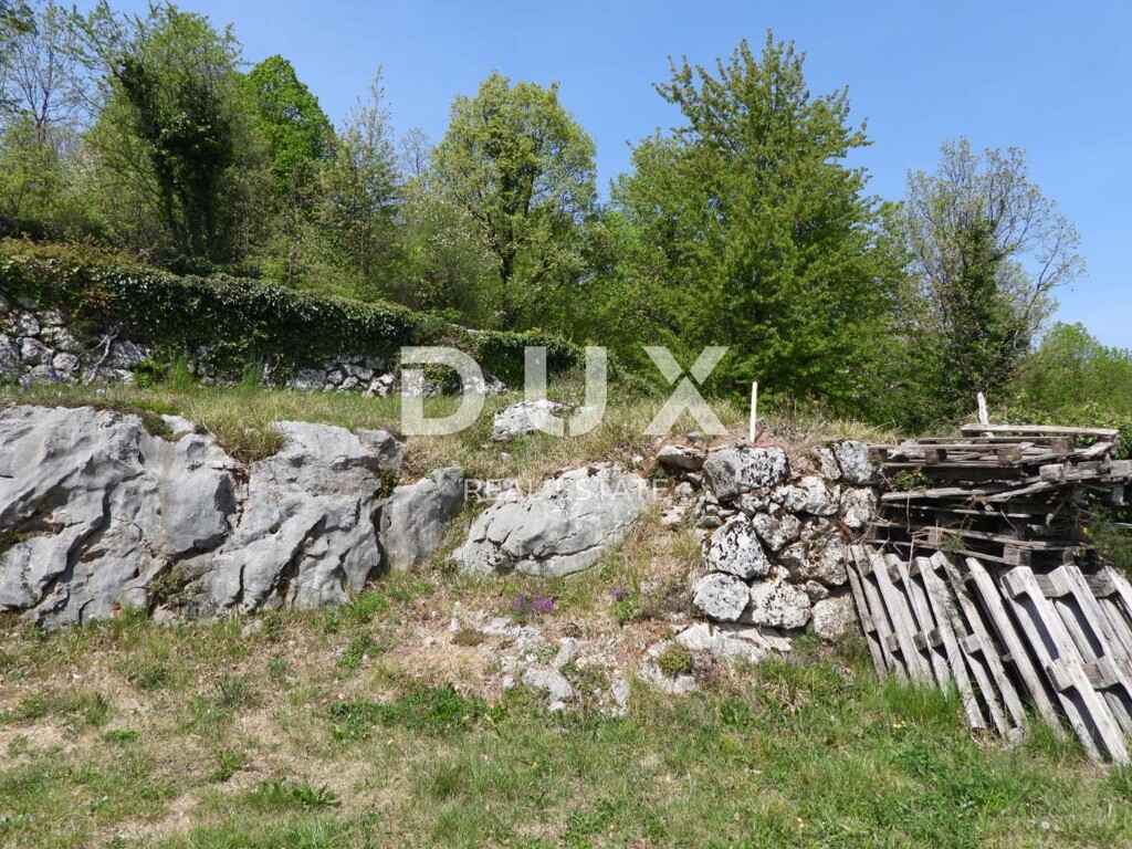 Image 9