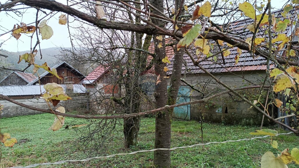 Image 5429094 - 10