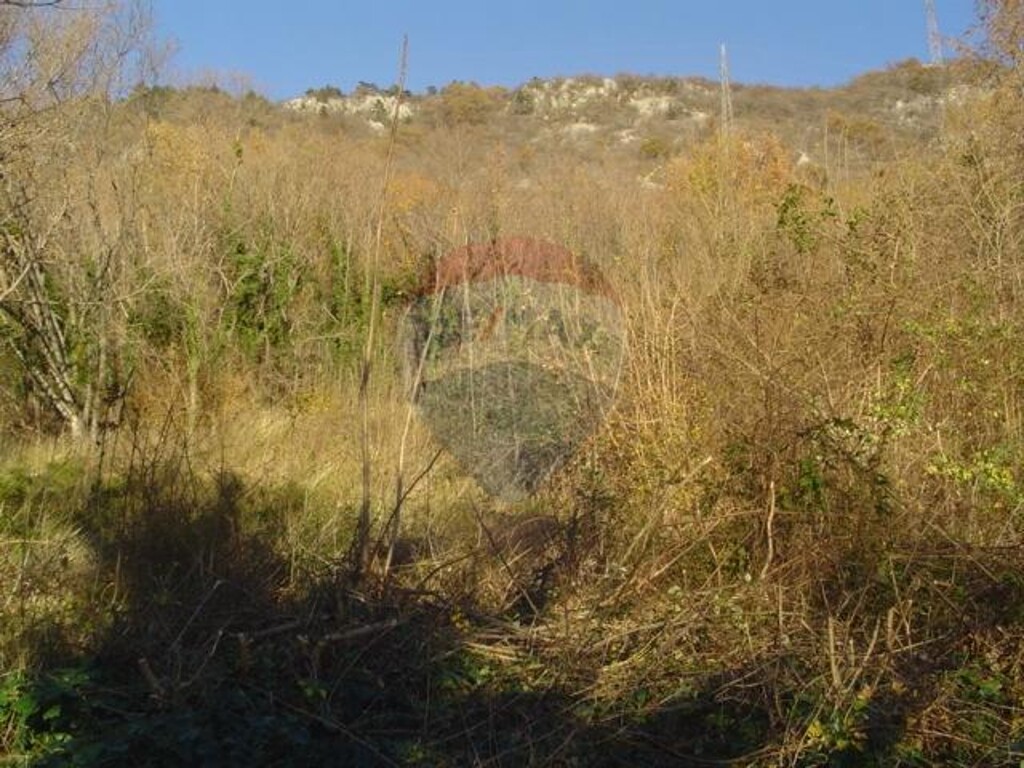 Image 5410943 - 3