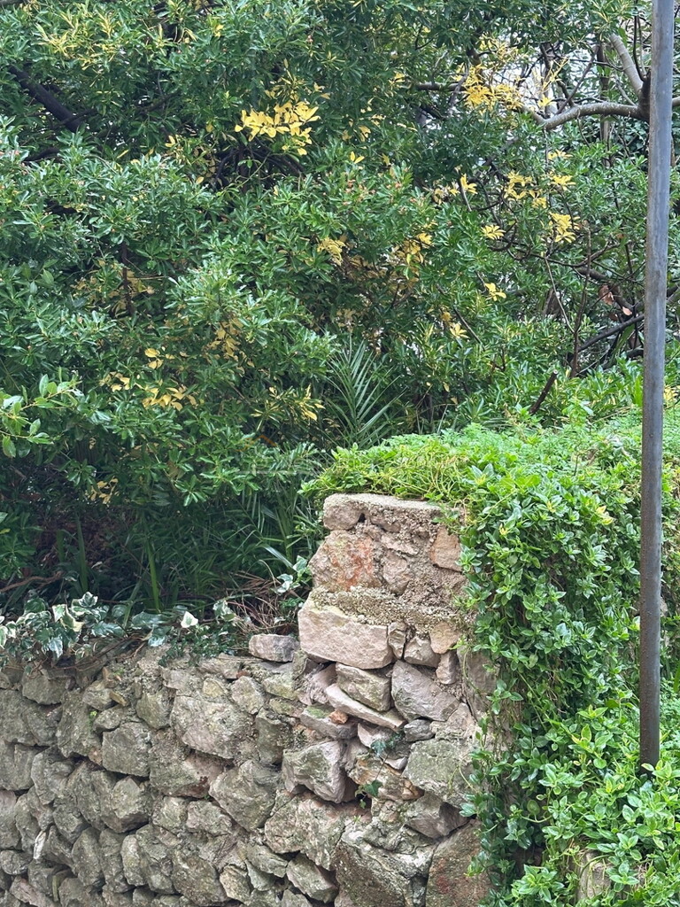 Image 30