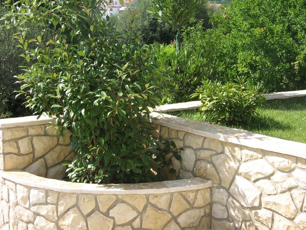 Image 3838999 - 10