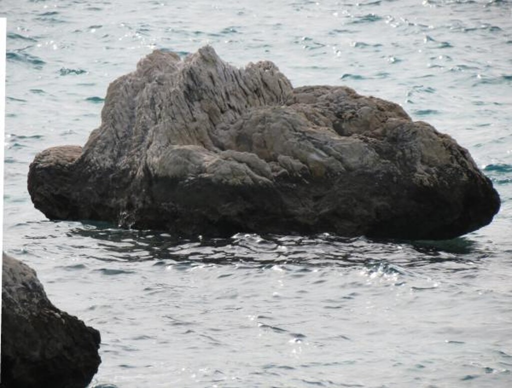 Image 3811624 - 5