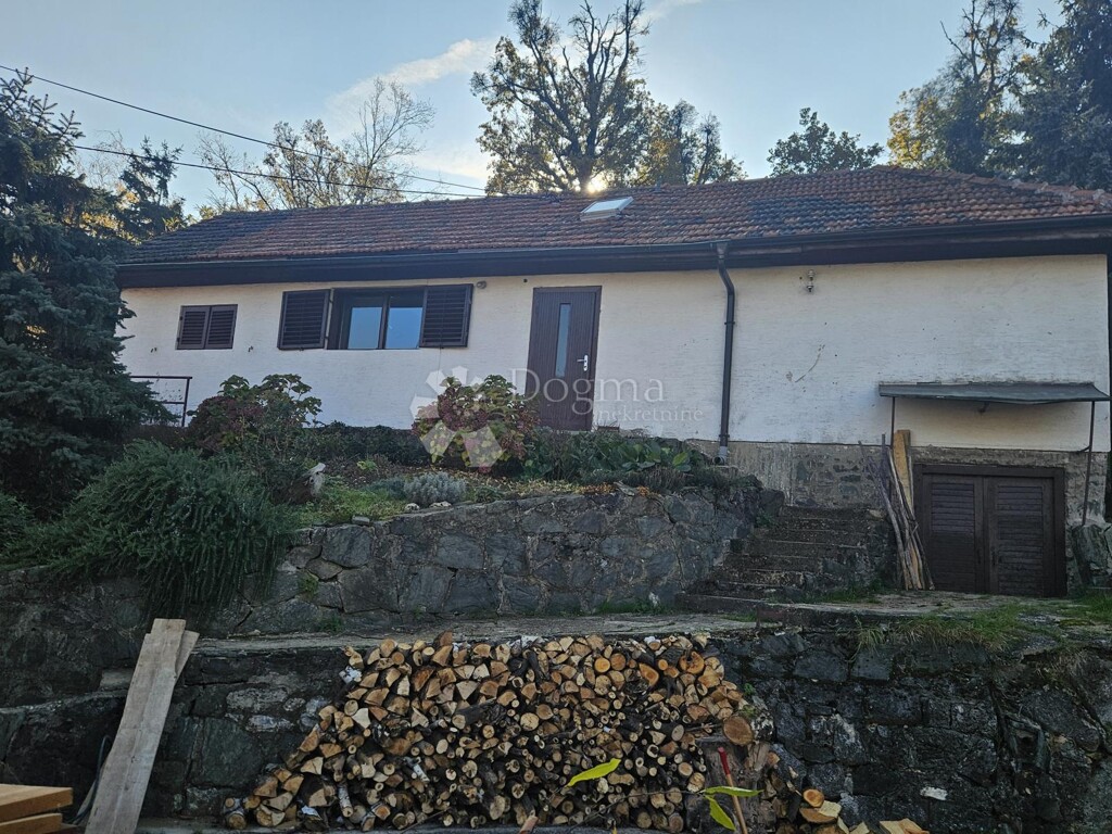 Image 20