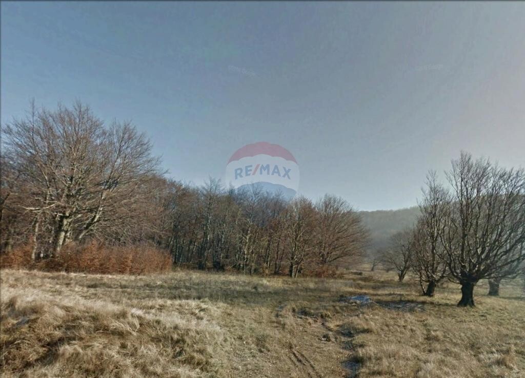 Image 5411275 - 5