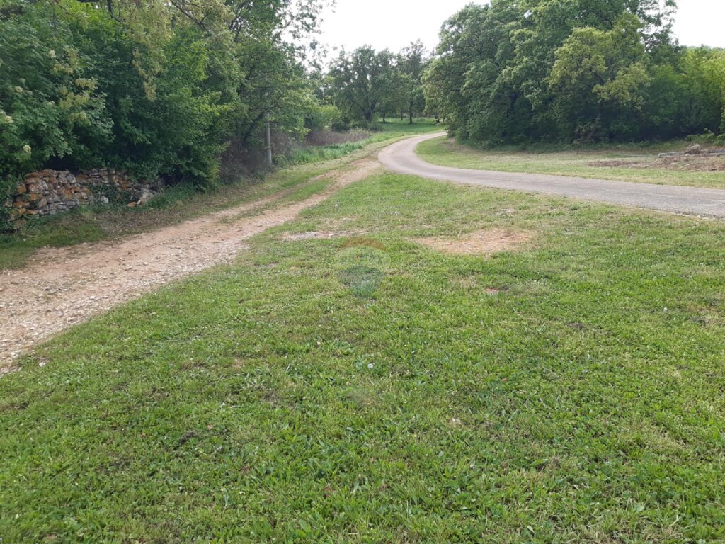 Image 15