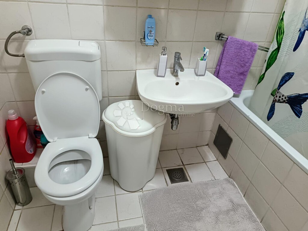 Image 12
