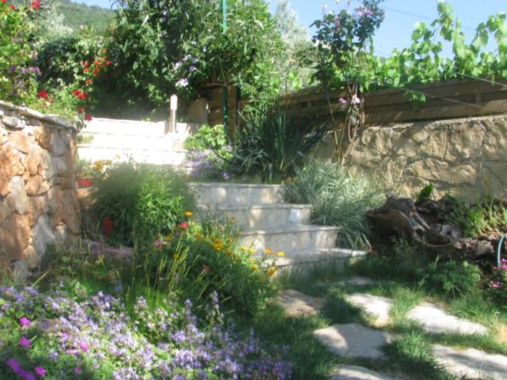 Image 3823112 - 4