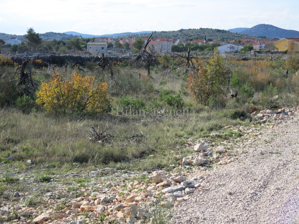 Image 4950664 - 6