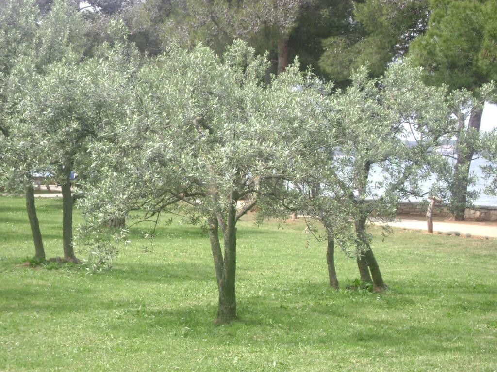 Image 3812177 - 9