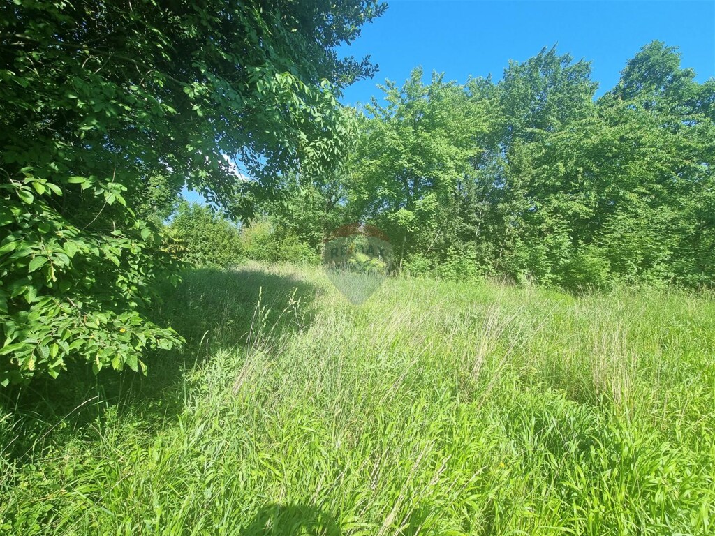 Image 5429833 - 17