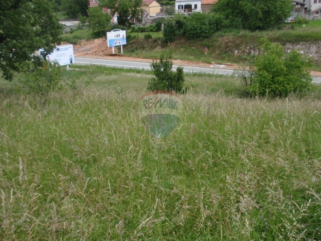Image 5411111 - 2
