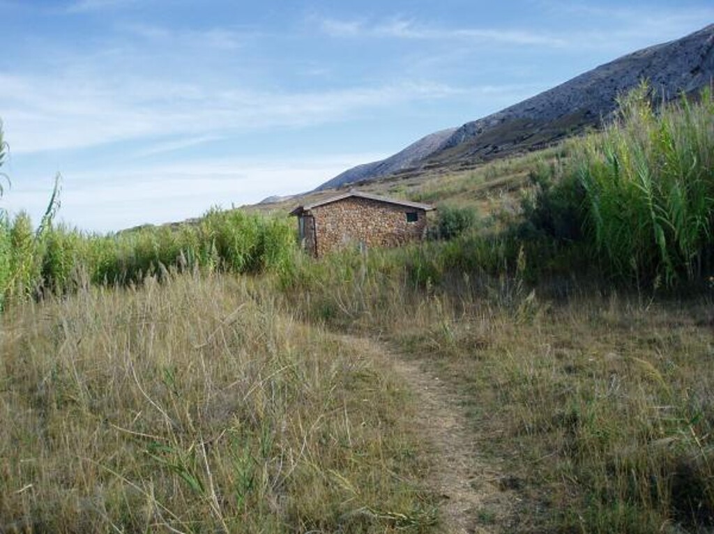 Image 3823622 - 4