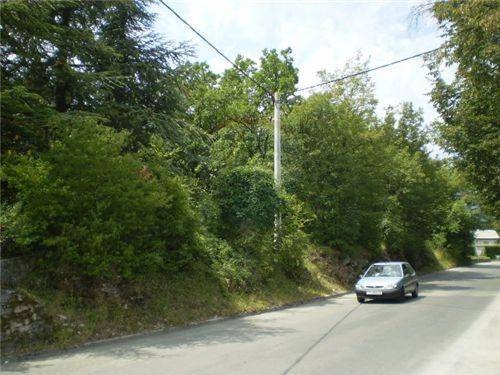 Image 5411422 - 1