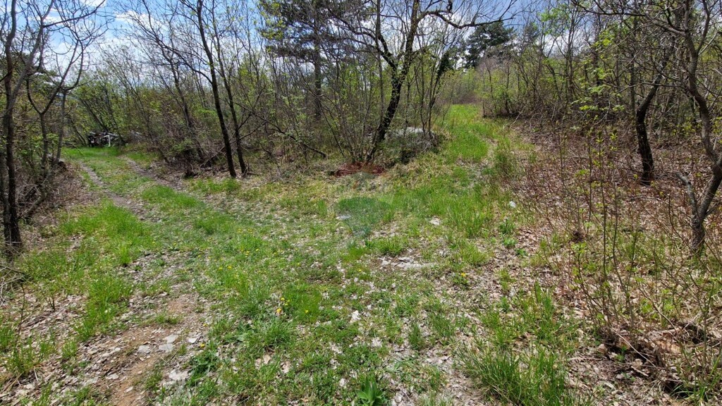 Image 5430035 - 3