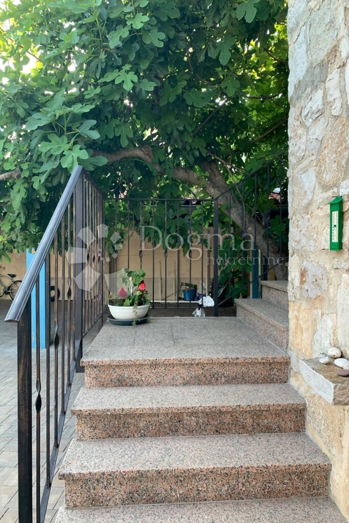 Image 20