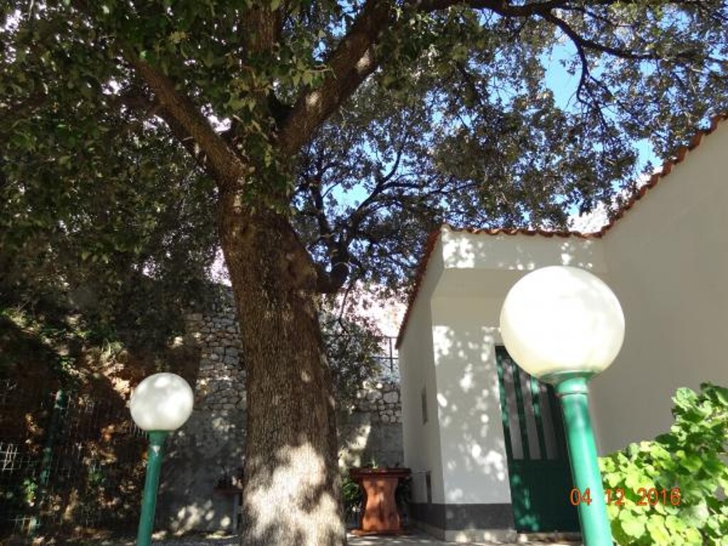 Image 3838467 - 14