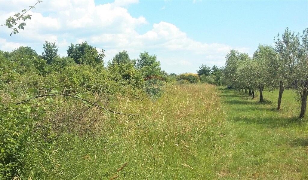 Image 5429029 - 6