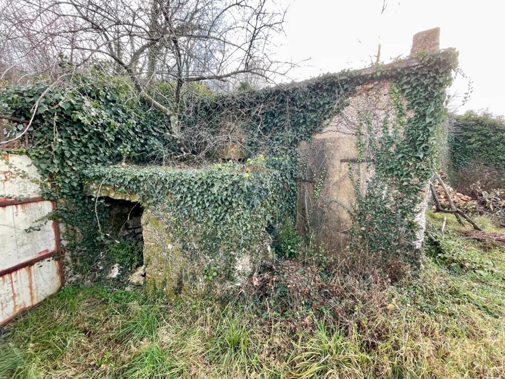 Image 18