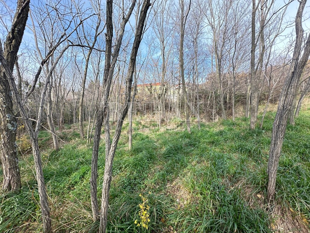 Image 10