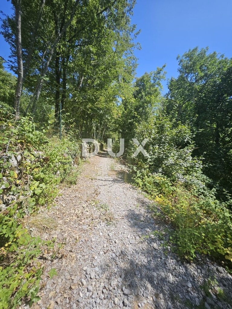 Image 15