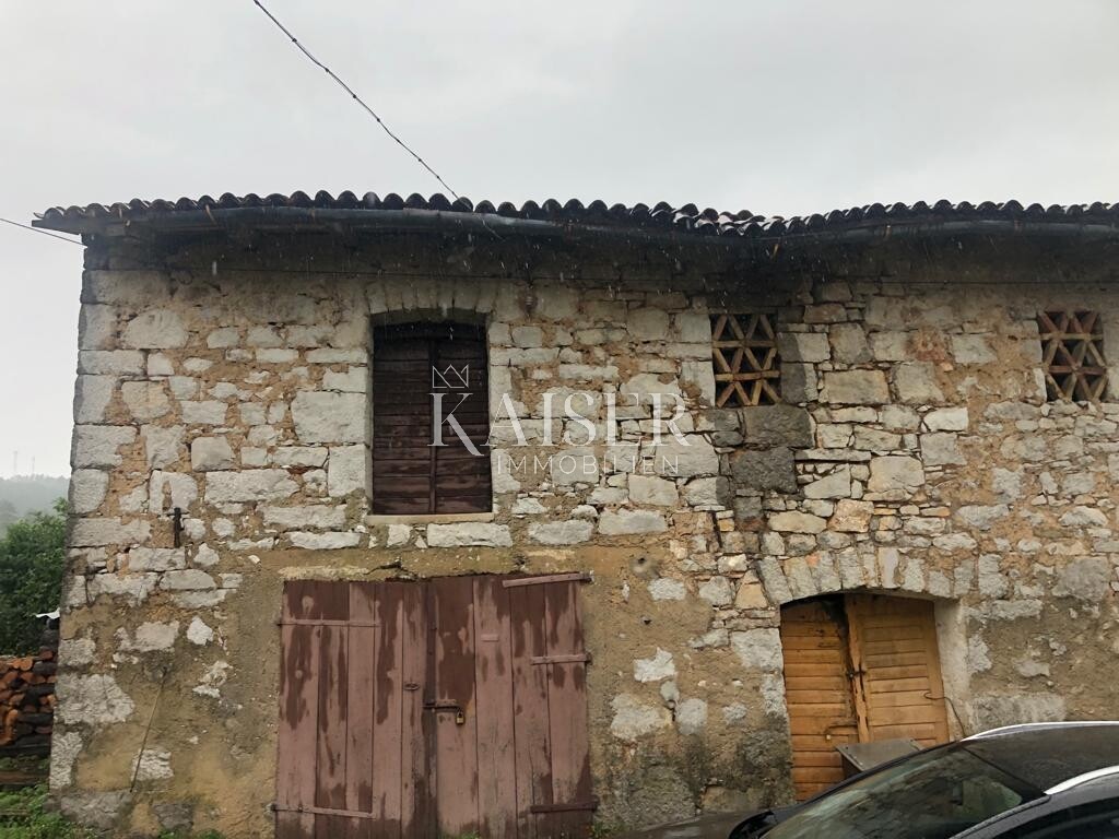 Image 6