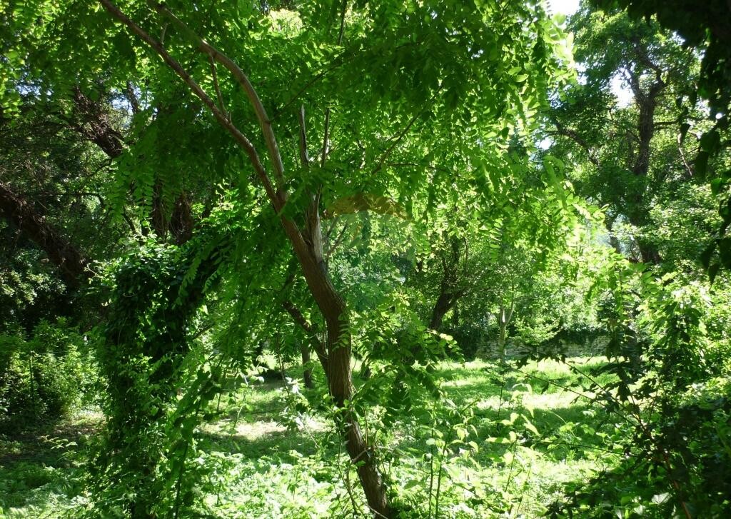 Image 5411024 - 8