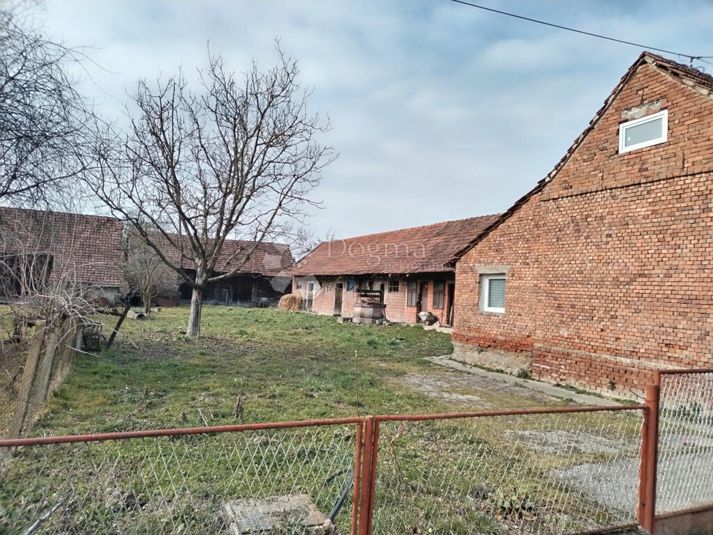 Image 13