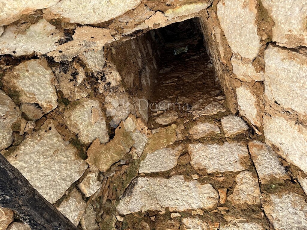 Image 22