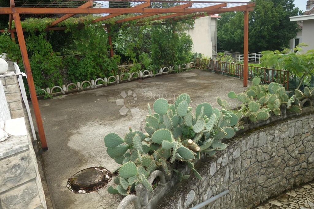 Image 17