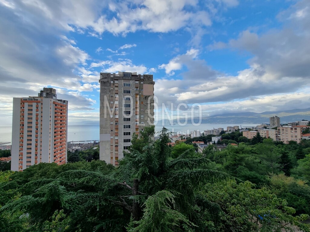 Image 6154353 - 1