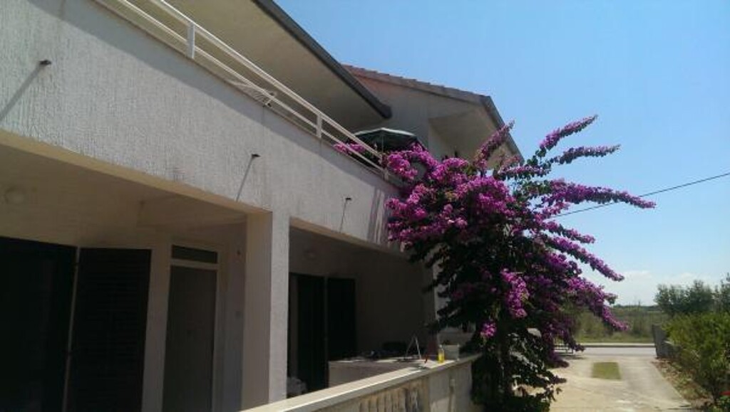 Image 3838612 - 13