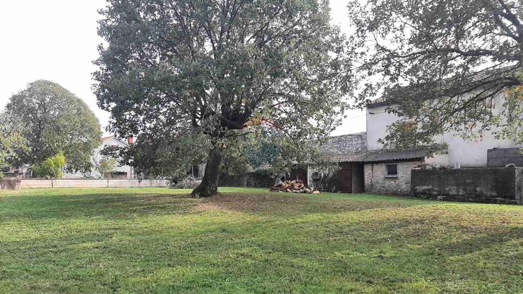 Image 13