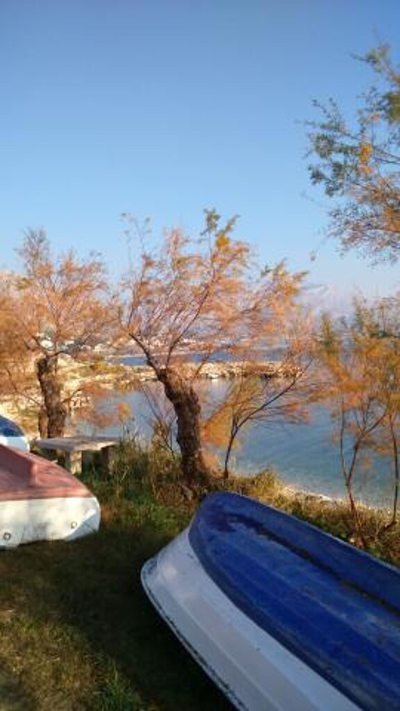 Image 3813355 - 12