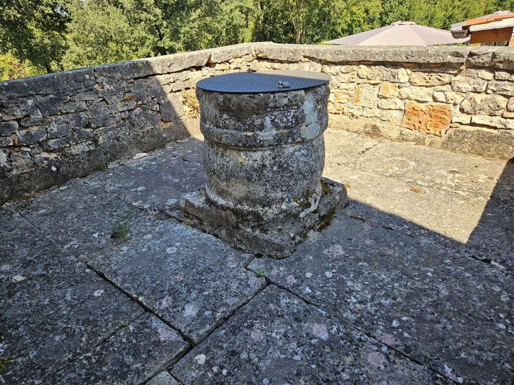 Image 8
