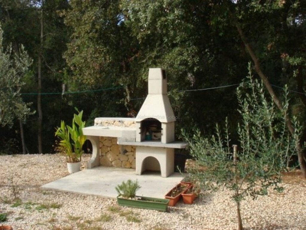 Image 15