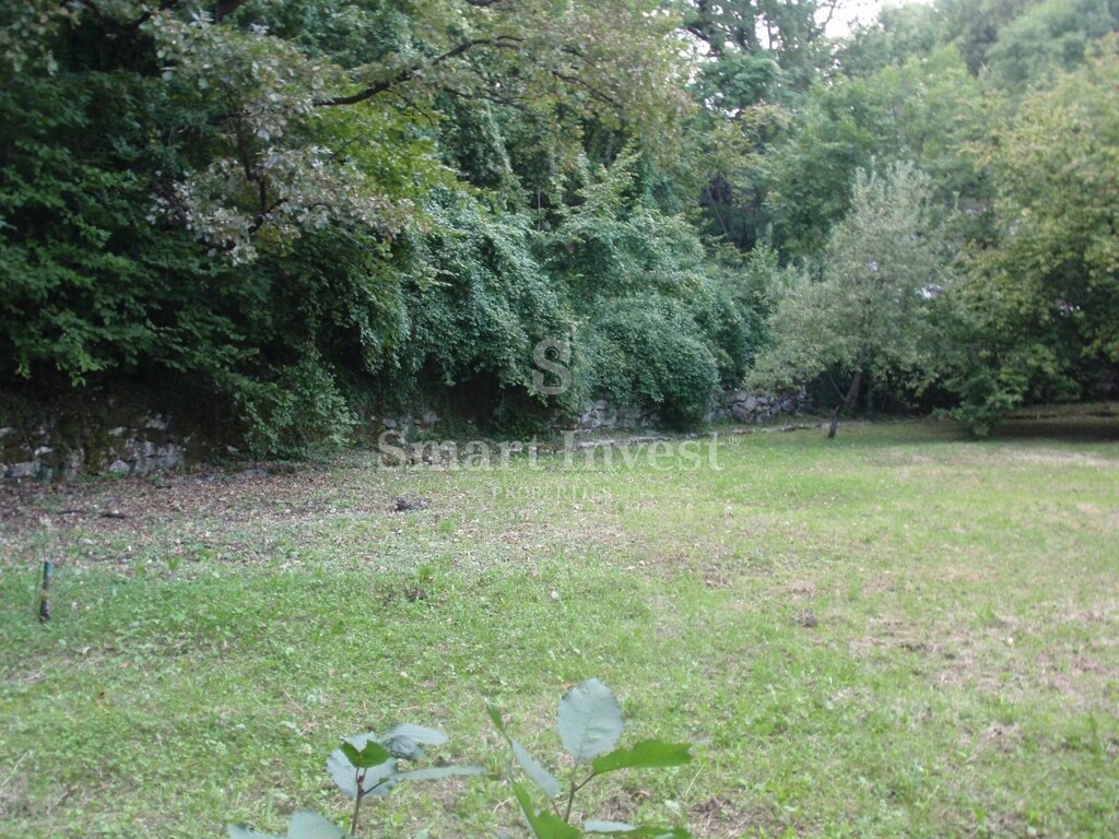 Image 16