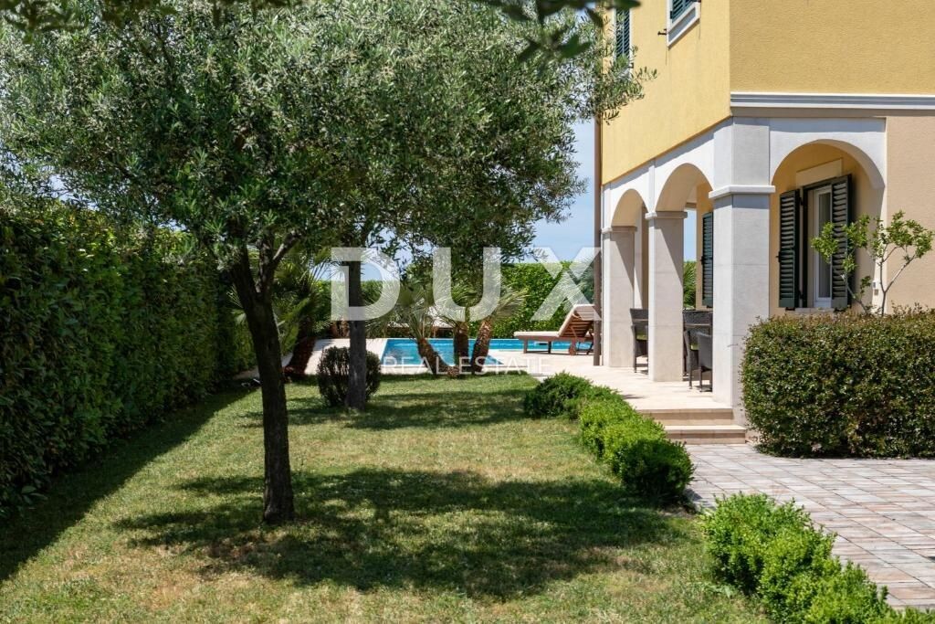 Image 10