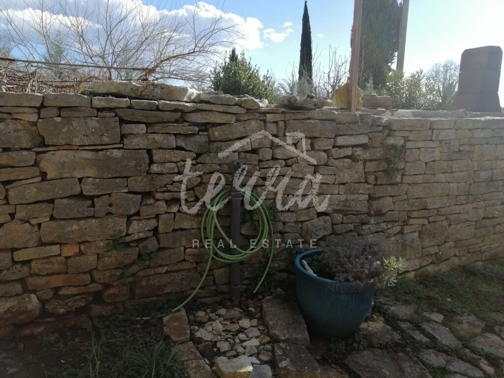 Image 19